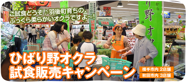 ひばり野オクラ 試食販売キャンペーン