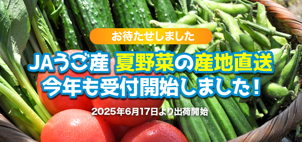とれたて夏野菜の産地直送